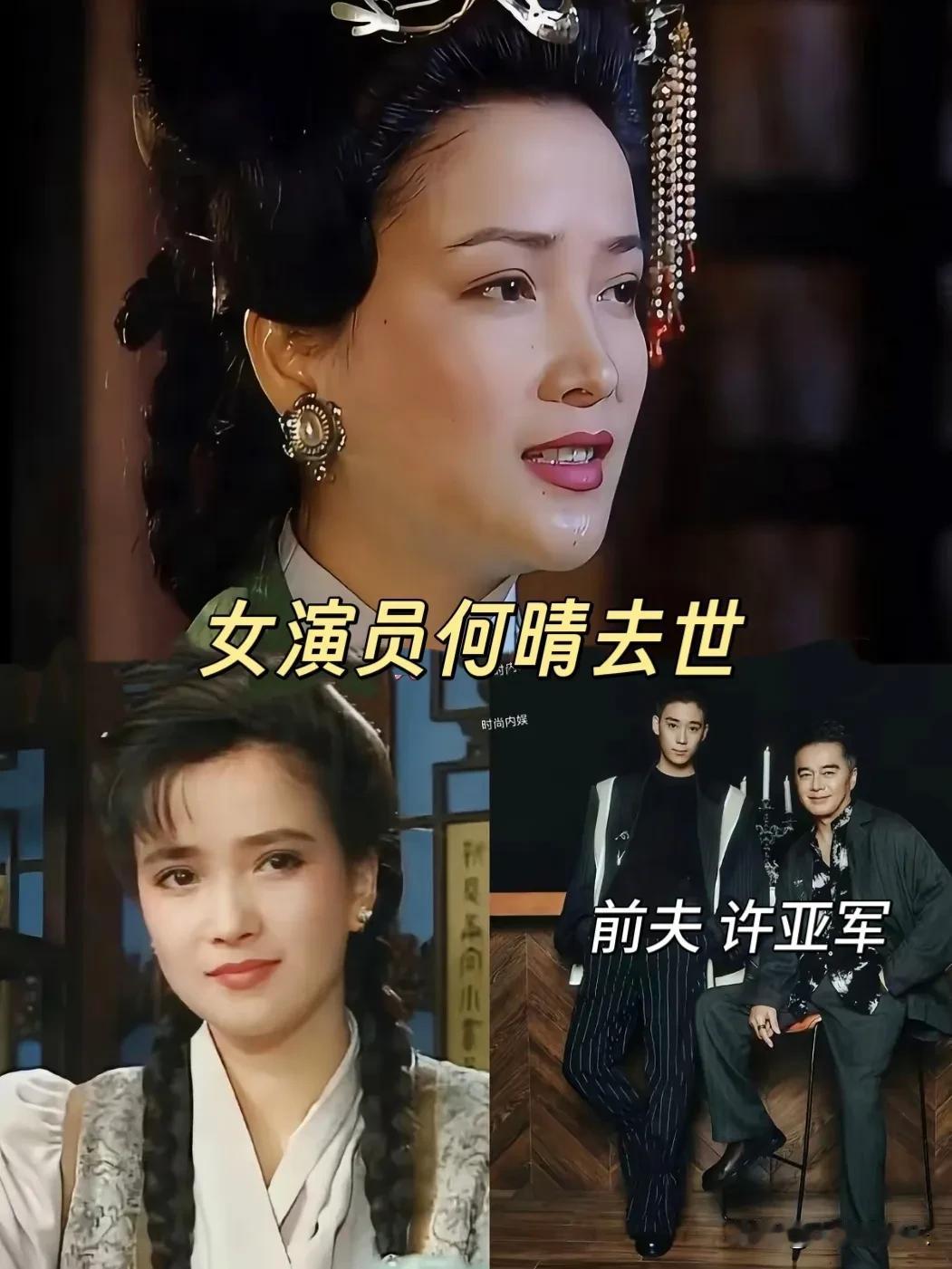 为许亚军背负小三骂名，仍离婚收场。61岁何晴为爱出走一生，因癌离世。抗癌5