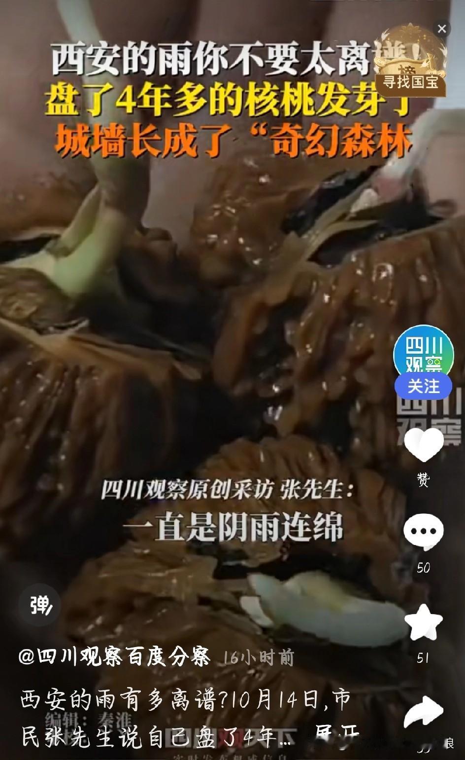 西安这雨下得是真魔幻，连下40多天，把古城浇成了“潮湿地带”，怪事全冒出来了。