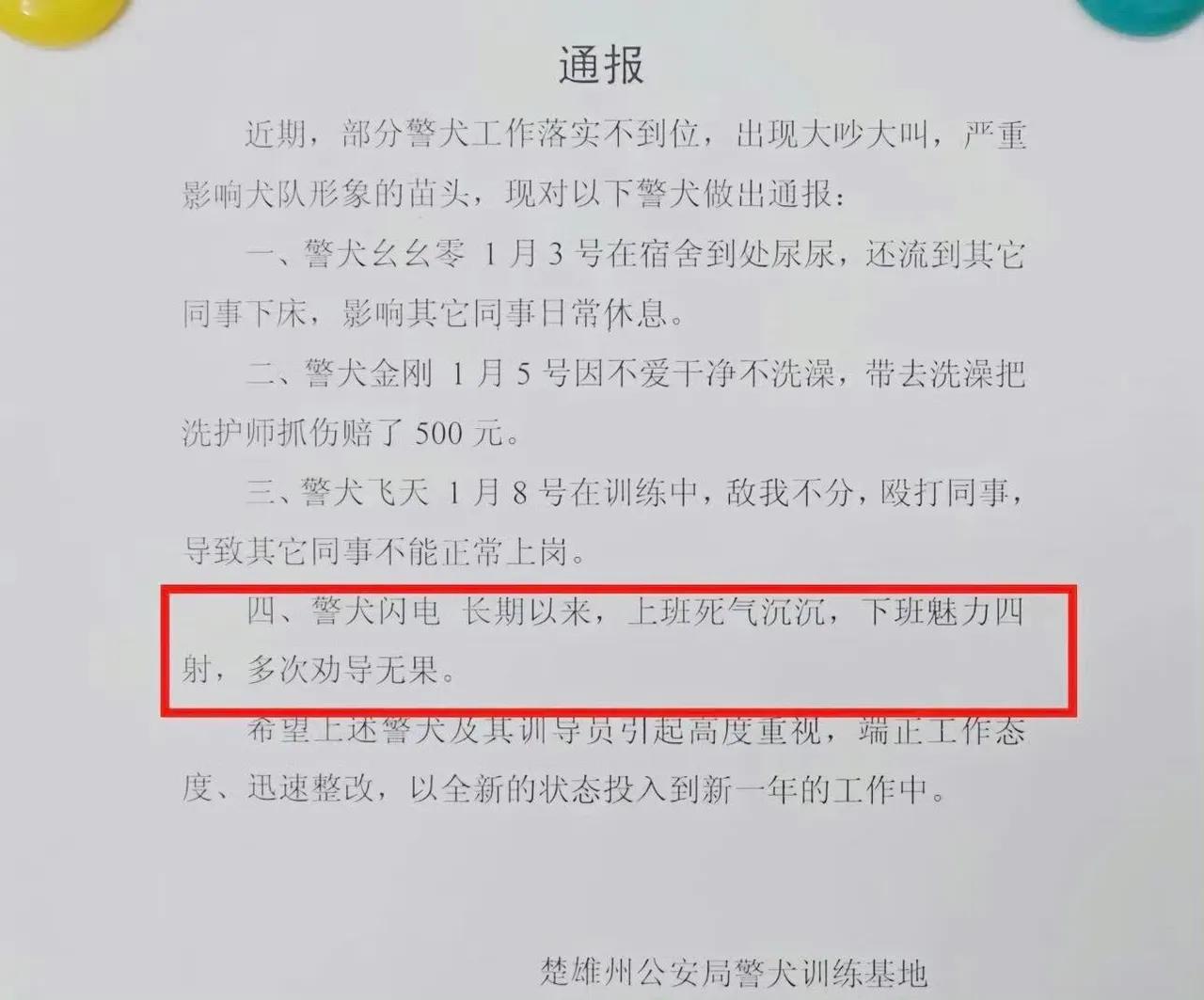 警犬被通报批评，能把人笑晕。我们来看看这些被批评的警犬。第一个警犬是幺幺零