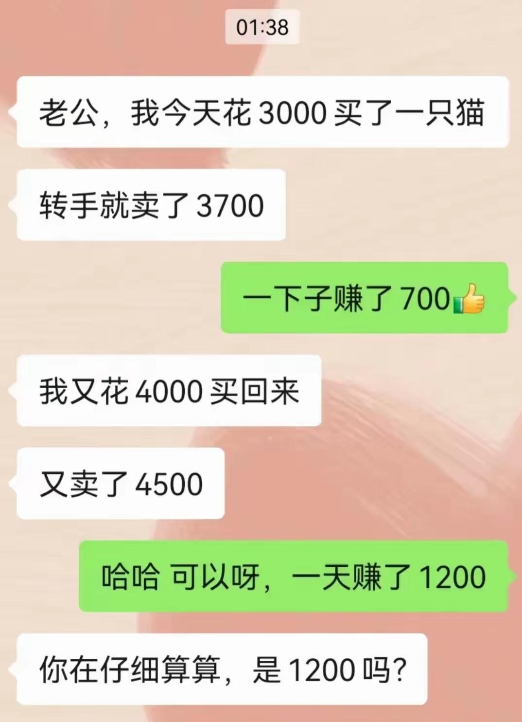 有算的明白的朋友不？这究竟赚了多少钱？总共才3000块钱的本，最后4500块