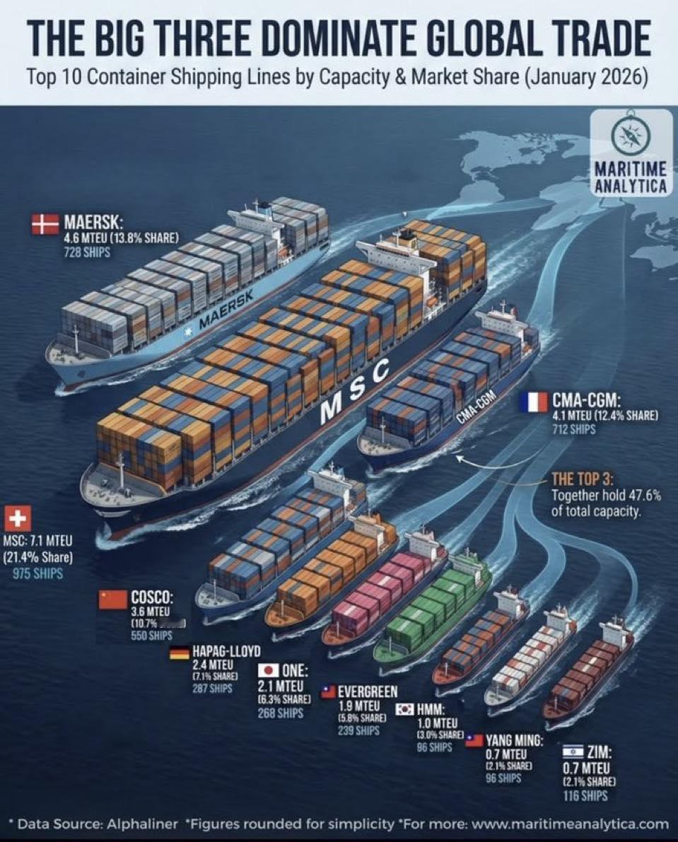 2026年1月全球前十大集装箱航运公司运力与市场份额排名，由海事分析机构