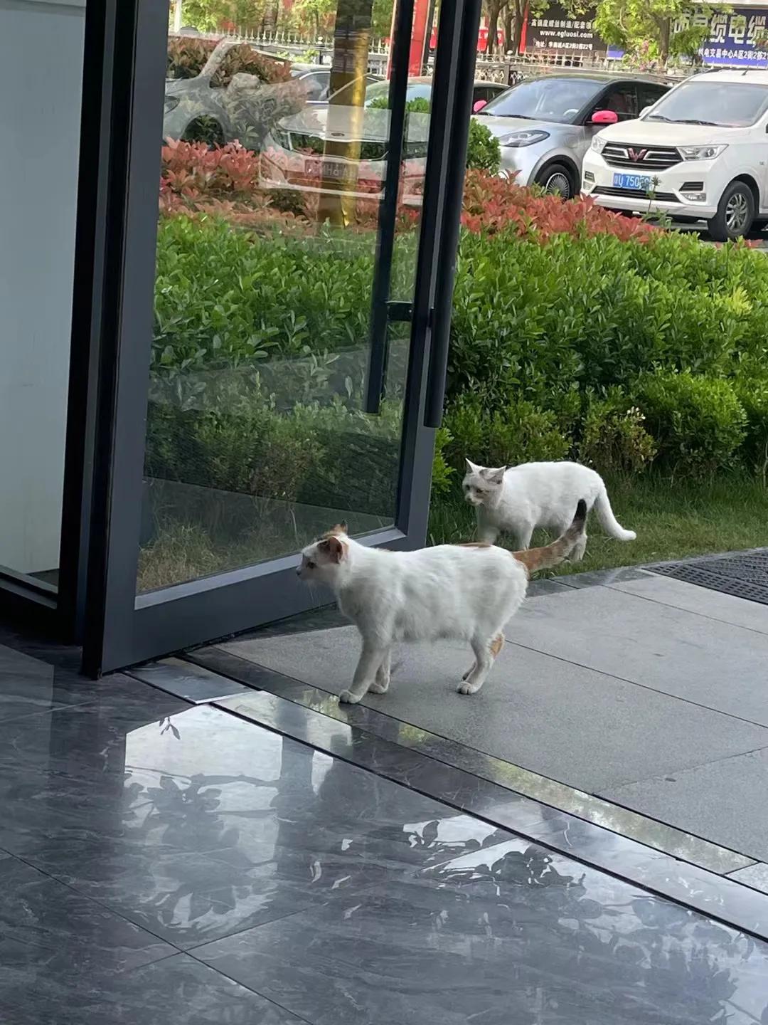 中午吃饭的时候，一个朋友打电话，说晚上一起坐坐。这个朋友以前经营着一家100多人