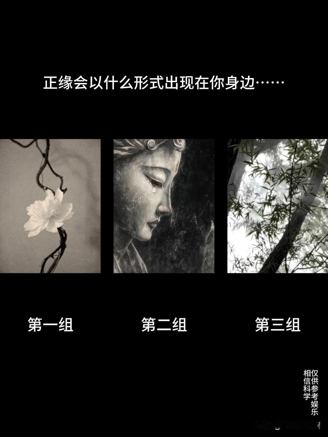 王阳新座驾比亚迪海狮08正缘会以什么形式出现在你身边......