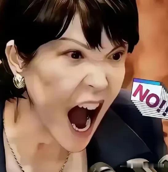 轮到日本跳脚抗议了4月29日，日本产经新闻报道称，29日凌晨0点20分左右