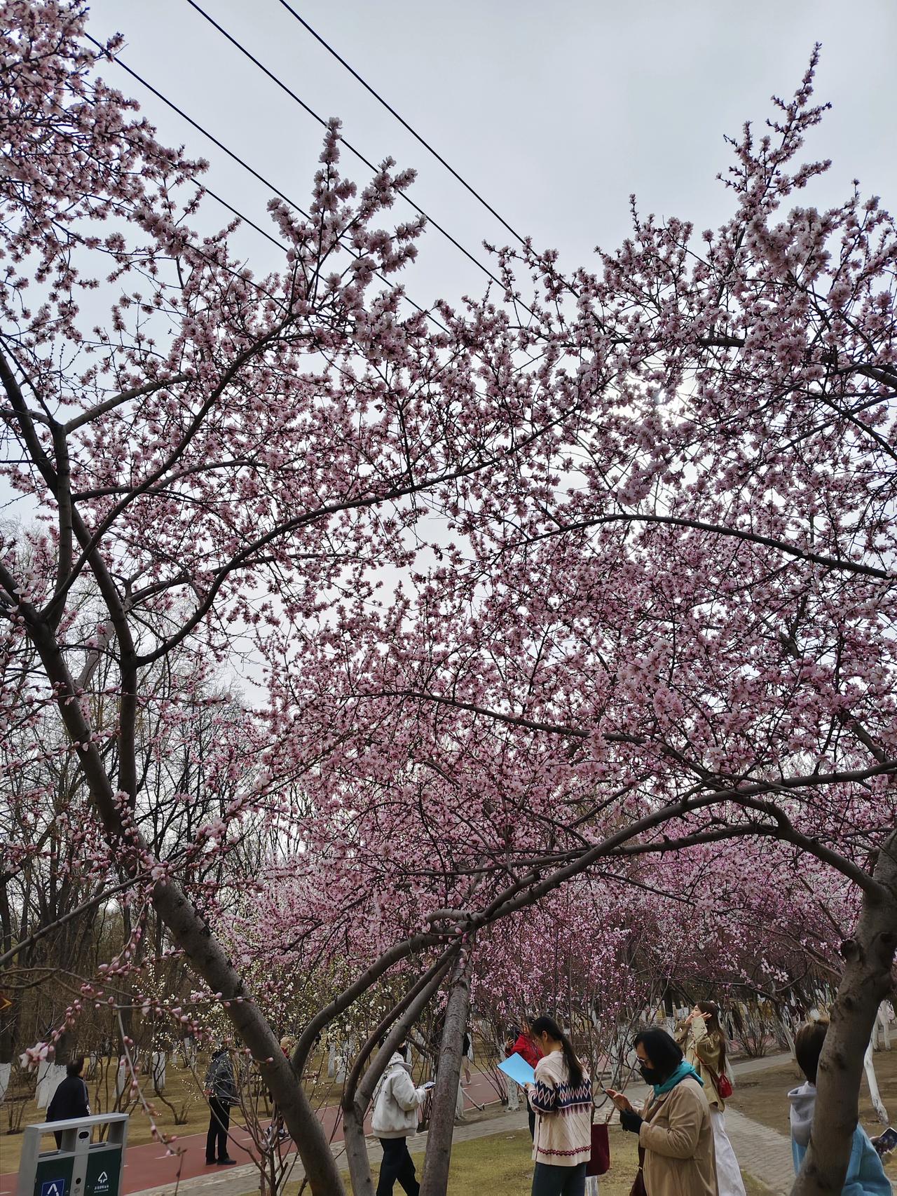 很多人觉得，穷就是兜里没钱、日子拮据，拼尽全力也翻不了身。可真正毁掉一个人的，从