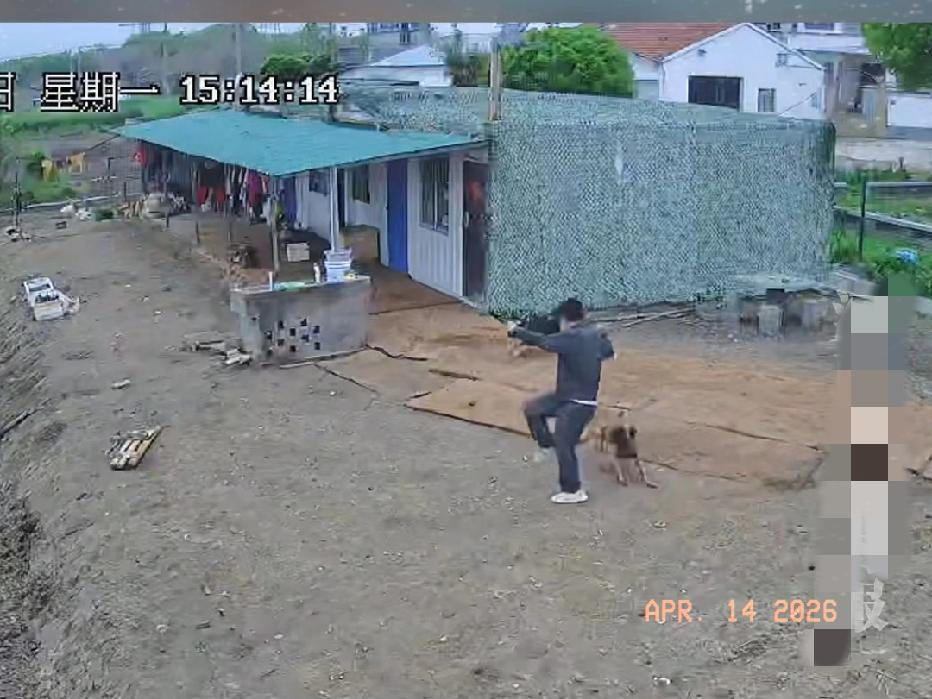 近日江苏常州，一男子下午3点走在路上，靠近一房子时，里面的狗突然冲了出来，直接追