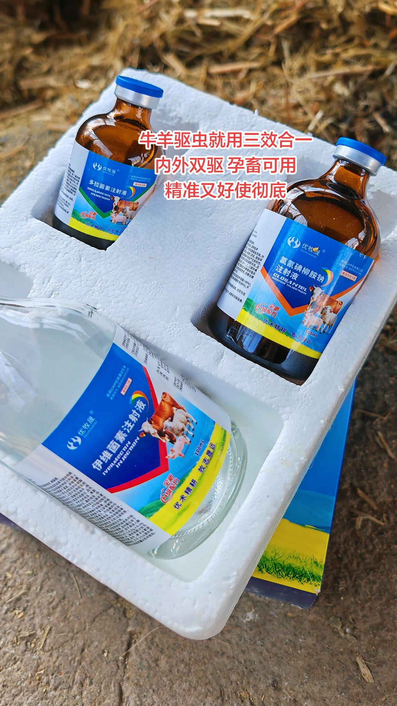 养羊人农村养羊牛羊养殖