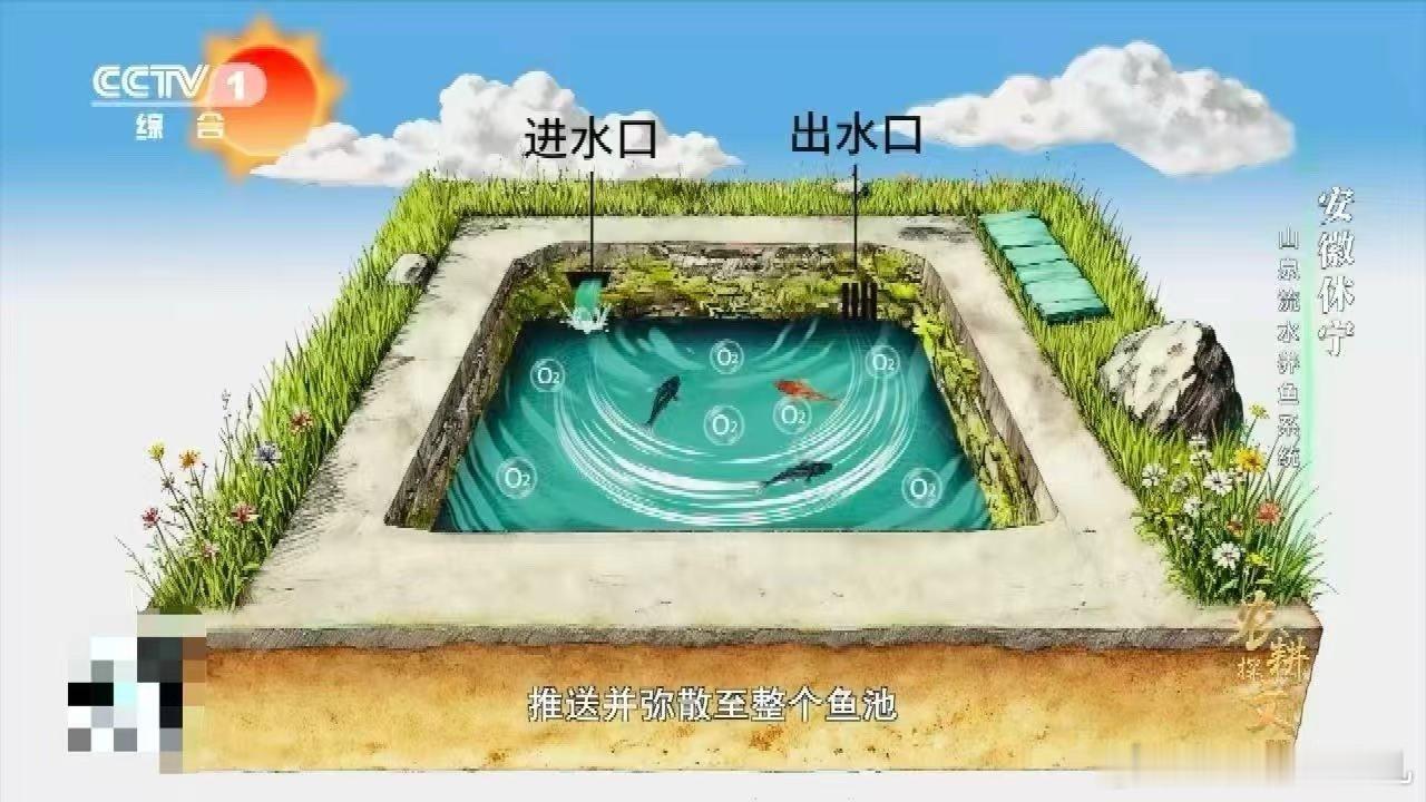 中国古人养鱼用流体力学古代黑科技让现代人都惊叹！巧妙的水道布局形成天然环流，水