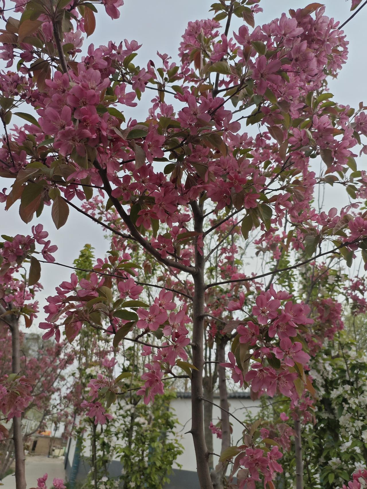 生死无常，谁敢拍着胸脯保证自己能活到明天？隔壁老哥刚满62岁，前两年从央企退下