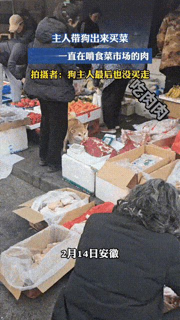 2月14日，安徽。女子带爱犬出来买菜，狗狗却吃起了售卖的生肉。女子看到狗子在饱