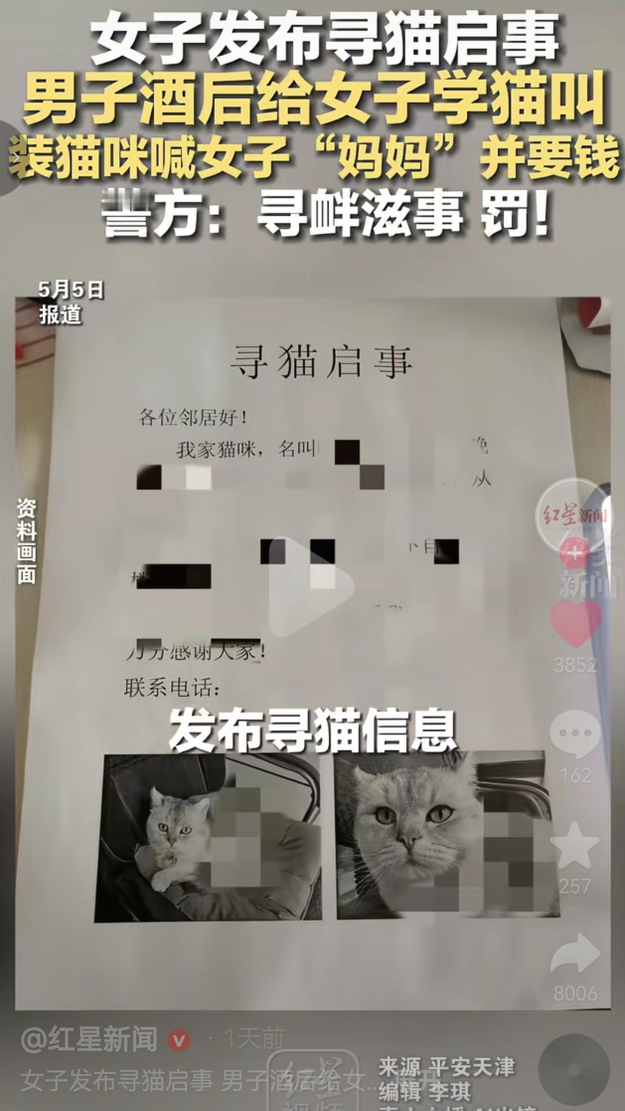 女子发寻猫启事，竟被陌生男子装猫喊“妈妈”要钱！警方直接罚了！真的快被这事