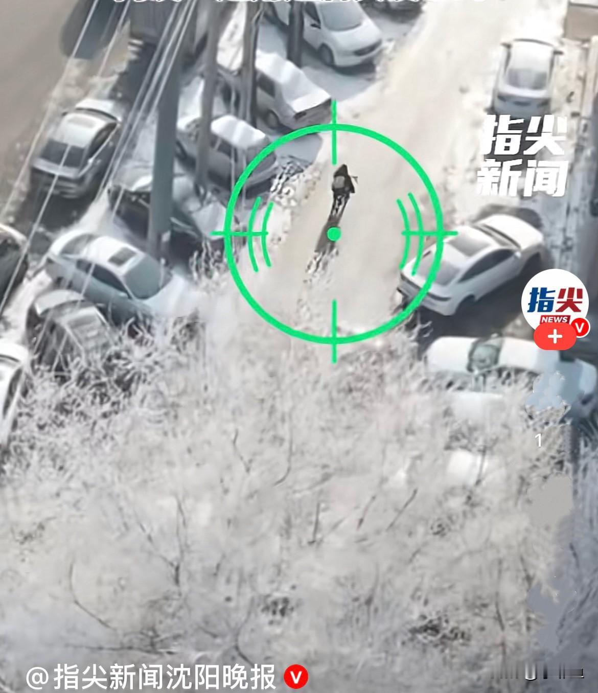 近日，辽宁沈阳林女士的儿子去上课，本来学校离林女士住的小区很近，就在小区对面，她