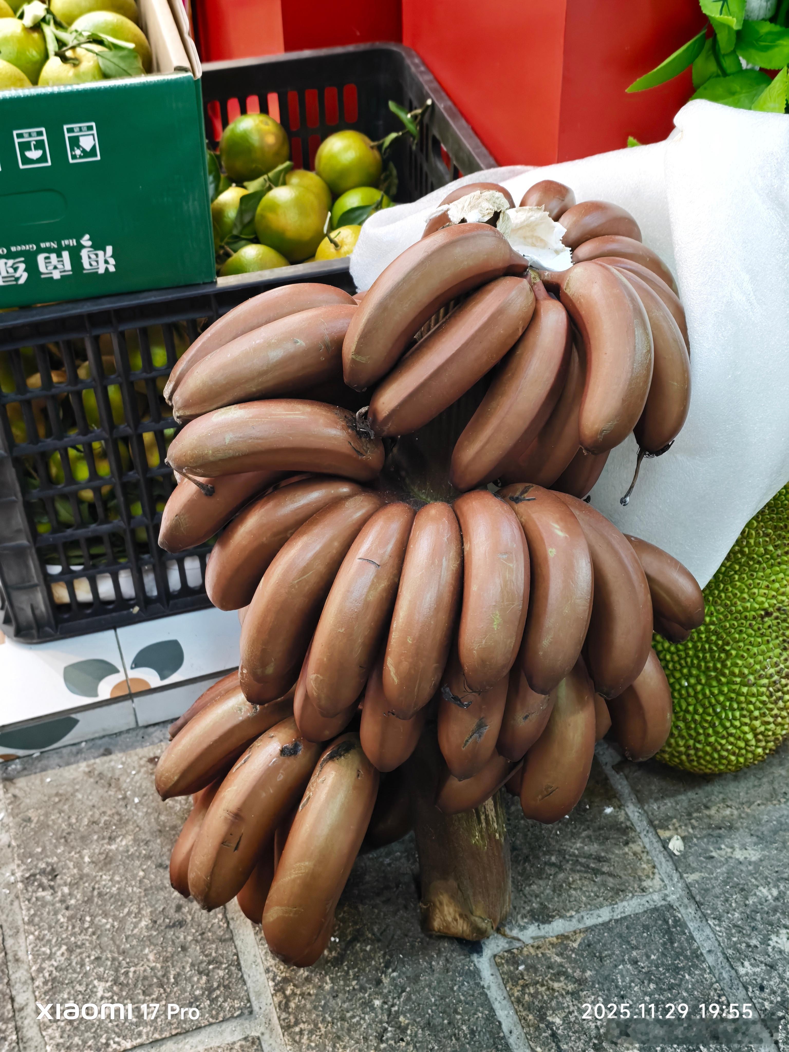 早安这些海南特色水果你们都认识几个？