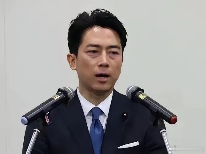 偷鸡不成蚀把米，日本给自己挖了一个大坑小泉现在很痛苦，因为是他代表日本签署了南海