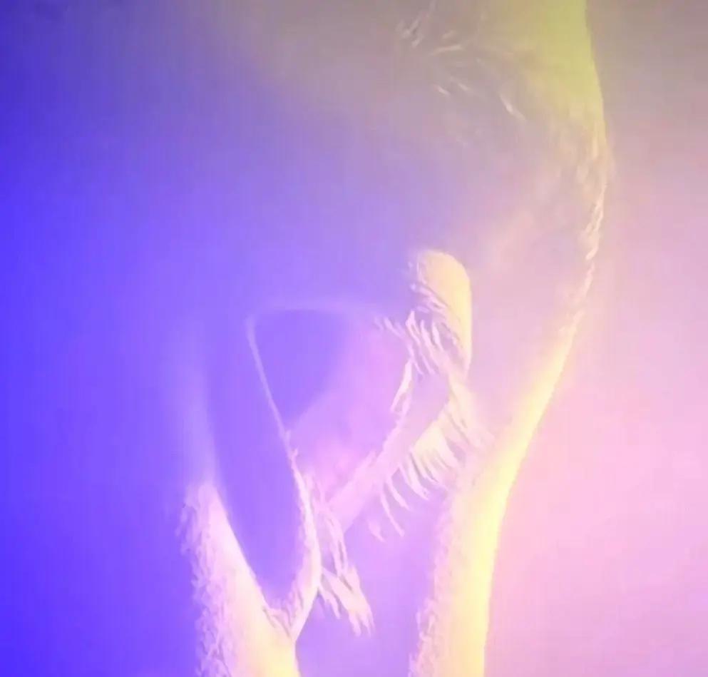 卡梅隆突然说把神拍得太清楚是《阿凡达》最大败笔，我直接愣住。当年Eywa那些蓝