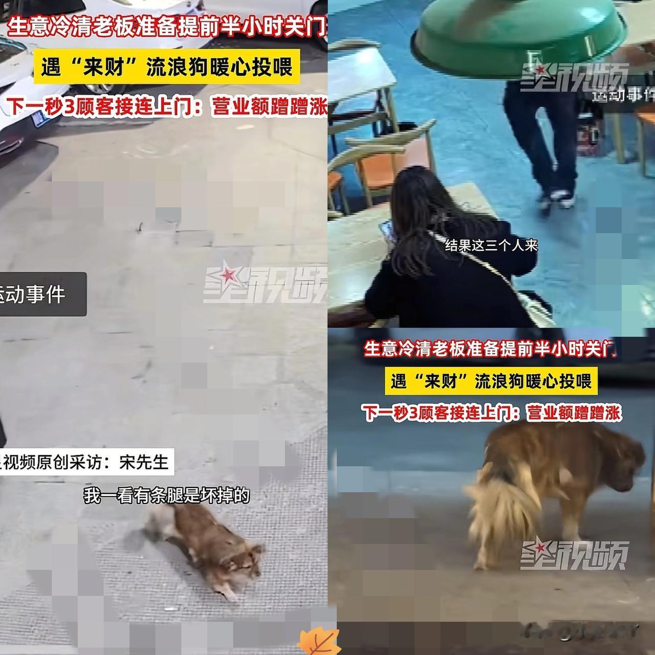 科学也解释不清了！近日陕西西安，老板看没有生意，就打算提前关门，关门时撞见只瘸腿