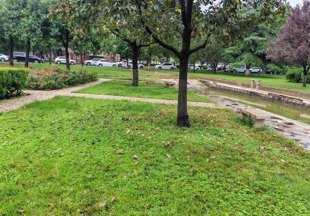 发现一个奇怪的现象吗？有很多坐了十多年监狱，刑满释放的，身体健康状况超过多数同龄