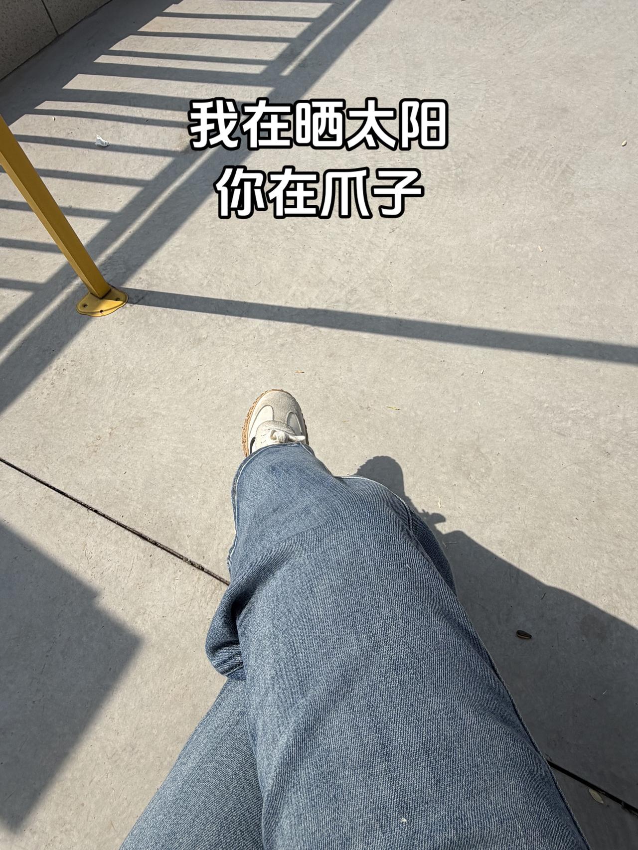 我在晒太阳，你在爪子