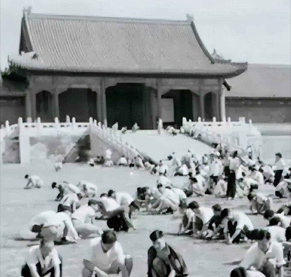 1949年，国家组织了7万人在北京故宫里清理垃圾，历时9个月清理出清末以来近40