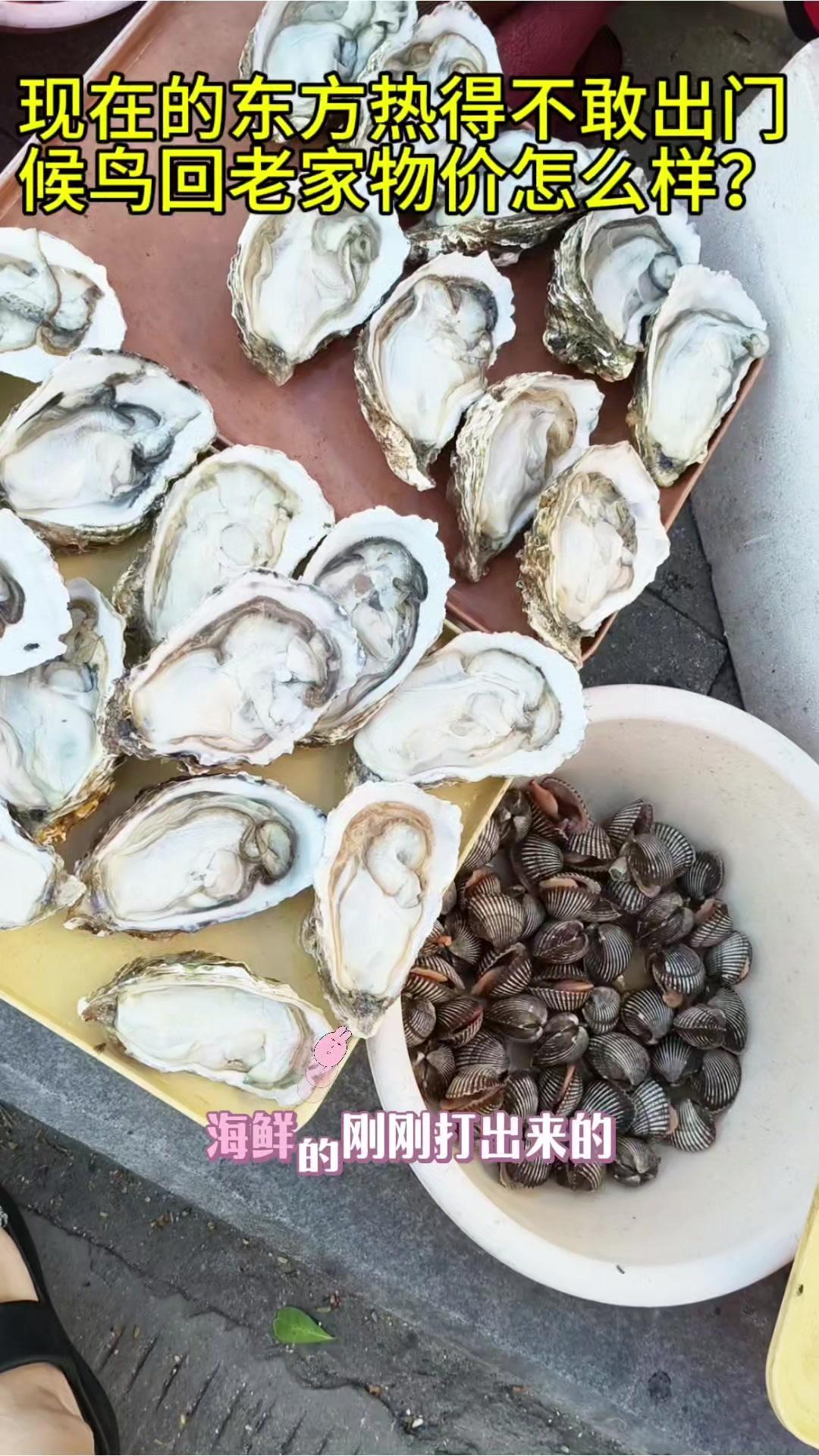现在东方白天最高温30多度，只能早晚出门，早上早市逛逛菜价，扇贝6块？油豆角4块