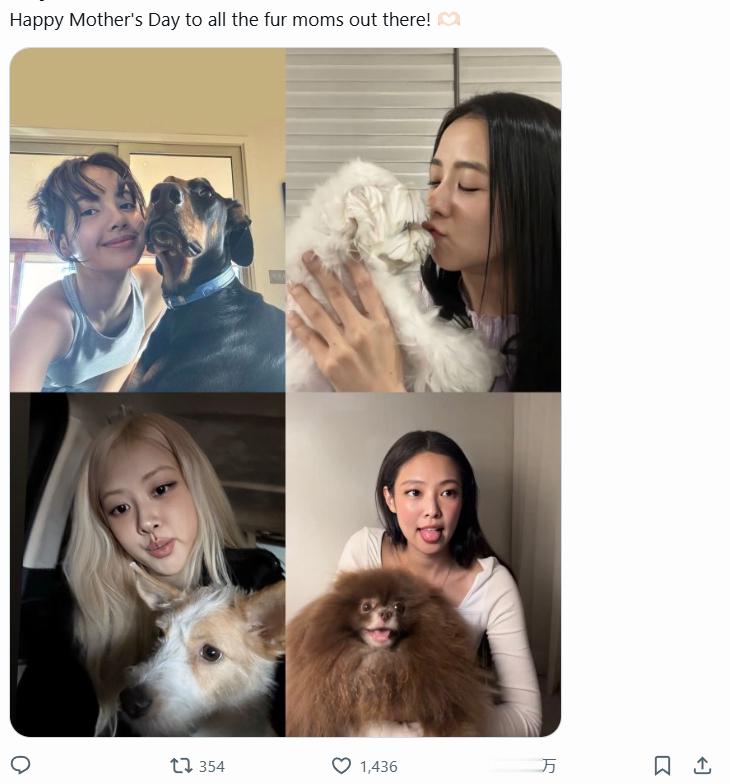 不是，左下角这个脸怎么了？？​​​