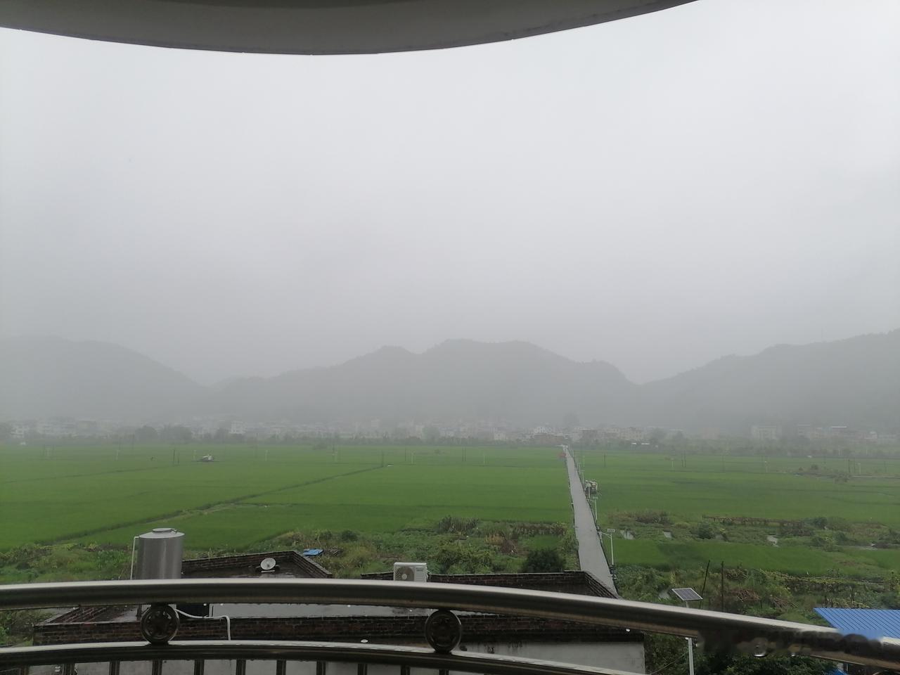 今年广东的雨水太多了，自入夏至立秋到现在即将白露，5，6，7，8，9月至今4个多