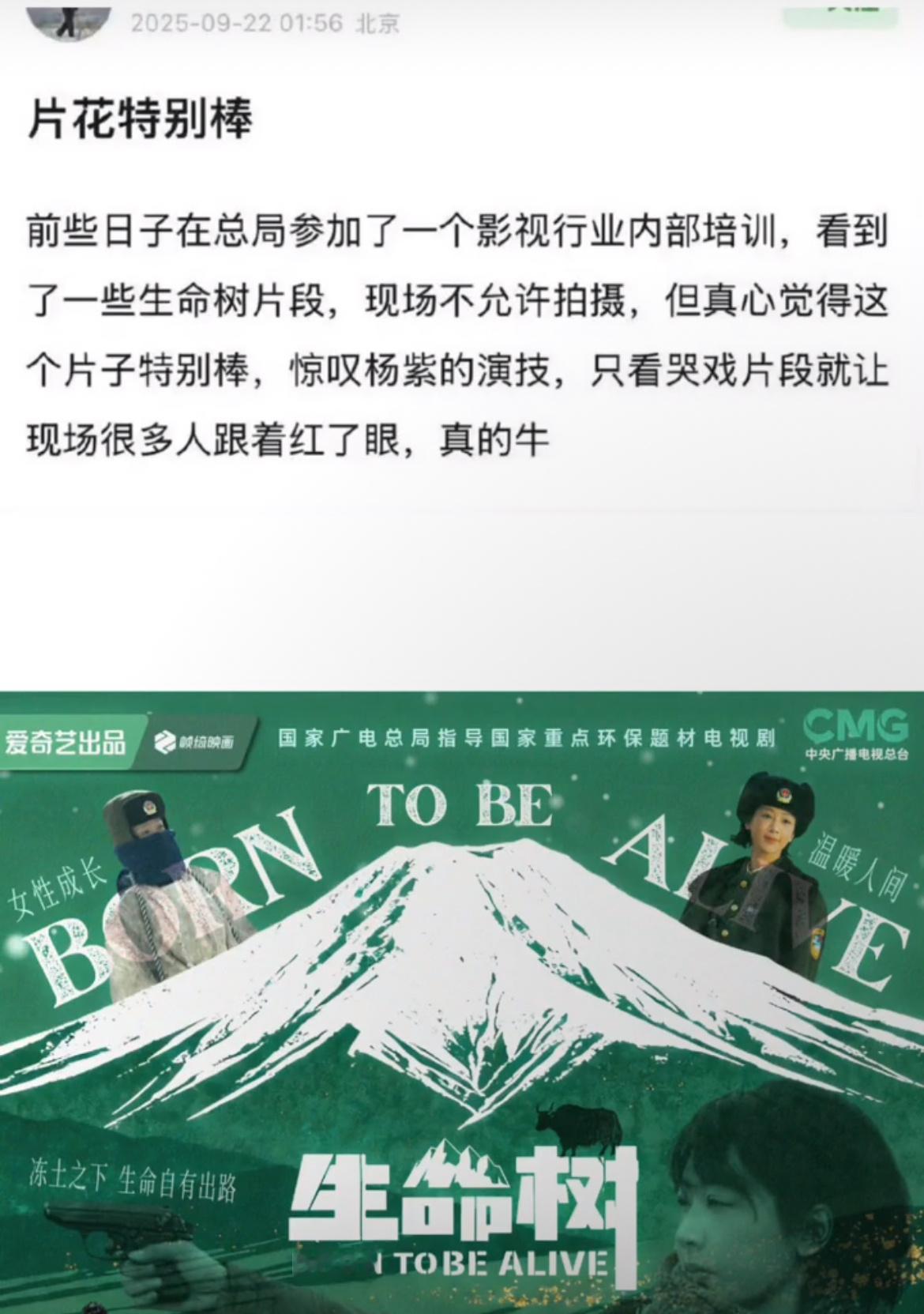 有业内在总局看过了一些生命树片段惊叹杨紫的演技紫紫哭戏的神！！！生命树还