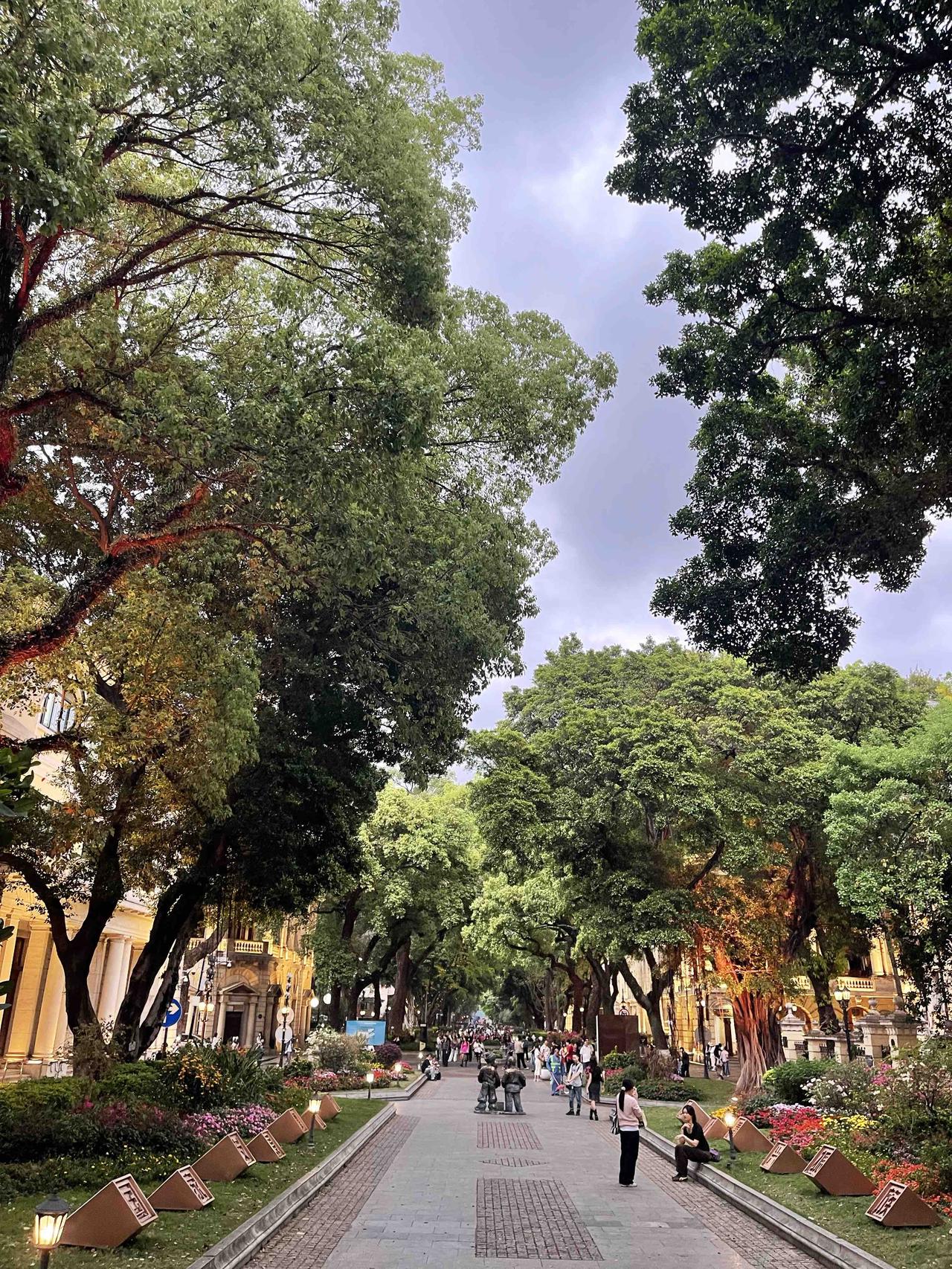 2026年是丙午火马年，火气特别旺。咱们老百姓过日子，讲究个顺势而为。这一年，身