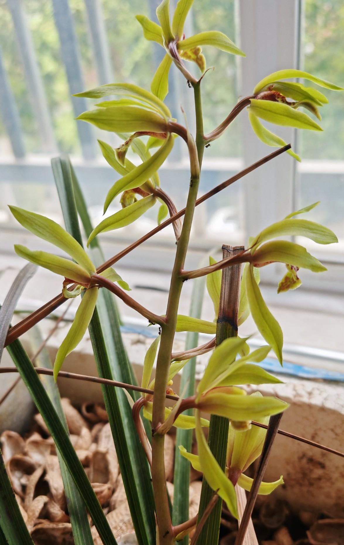 儿子今年初三，下半年就该上高中了，不论是普高还是职高，现在全都得靠他自己。前两