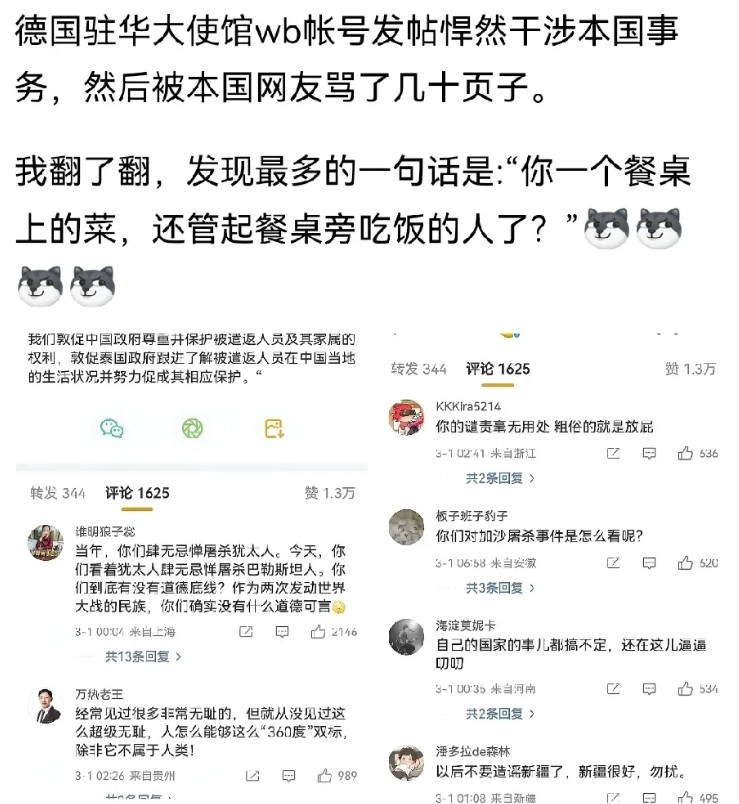 这真是跳梁小丑层出不穷啊，德国驻中国大使馆儿居然又跳出来，发表找抽的言论。居然