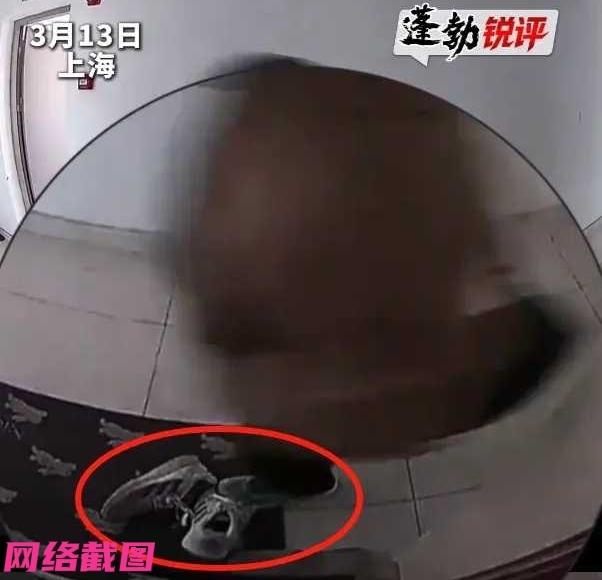 上海有女子发现自己摆在家门口的鞋子上留有鞋印，看到监控为邻居所为，后网上买来粘鼠