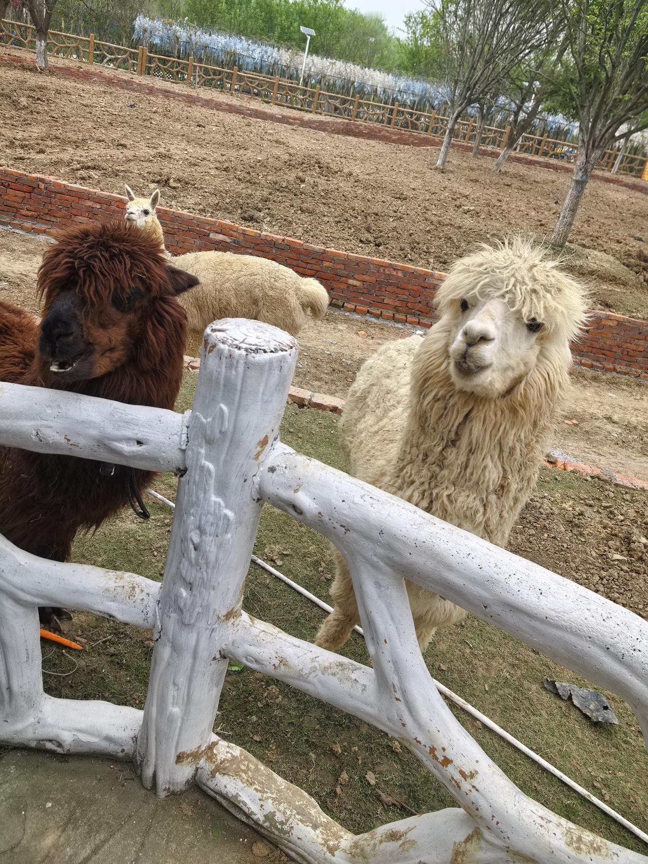 不是财富，财富会散尽；不是名利，名利会褪色；甚至连最亲的人，也只能陪你一程。真正