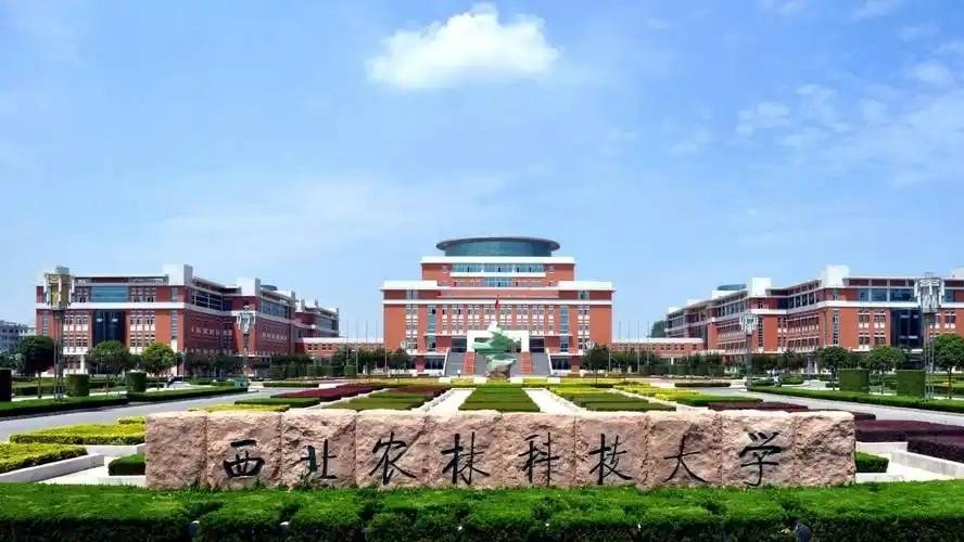 实力下滑明显的4所985大学