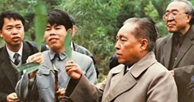 他曾担任四川省委书记，一辈子勤政爱民，被群众称为“草鞋书记”杨书记是仁寿人民