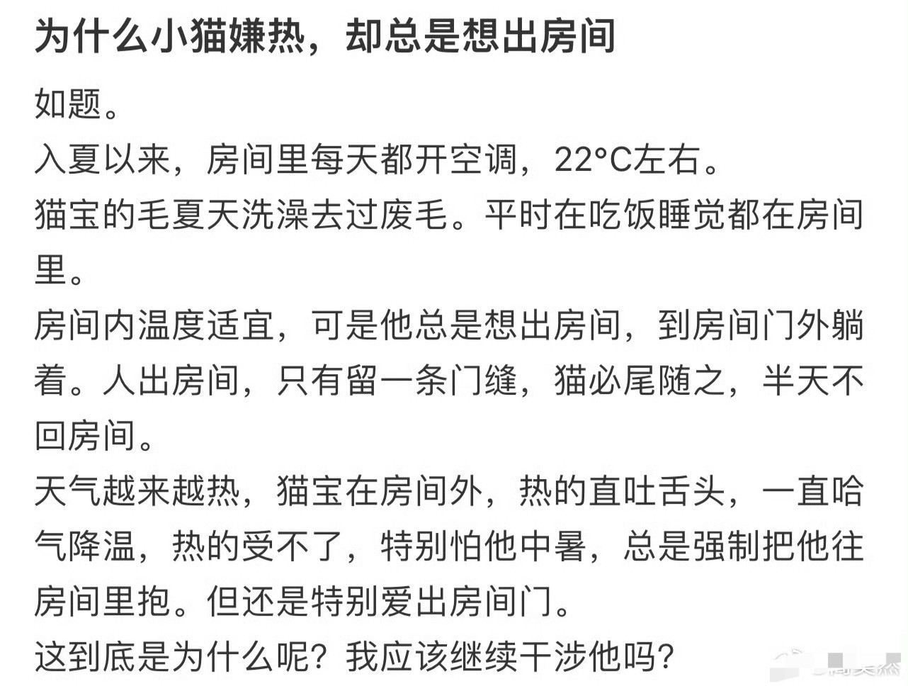 为什么小猫嫌热，却总是想出房间😳​​​
