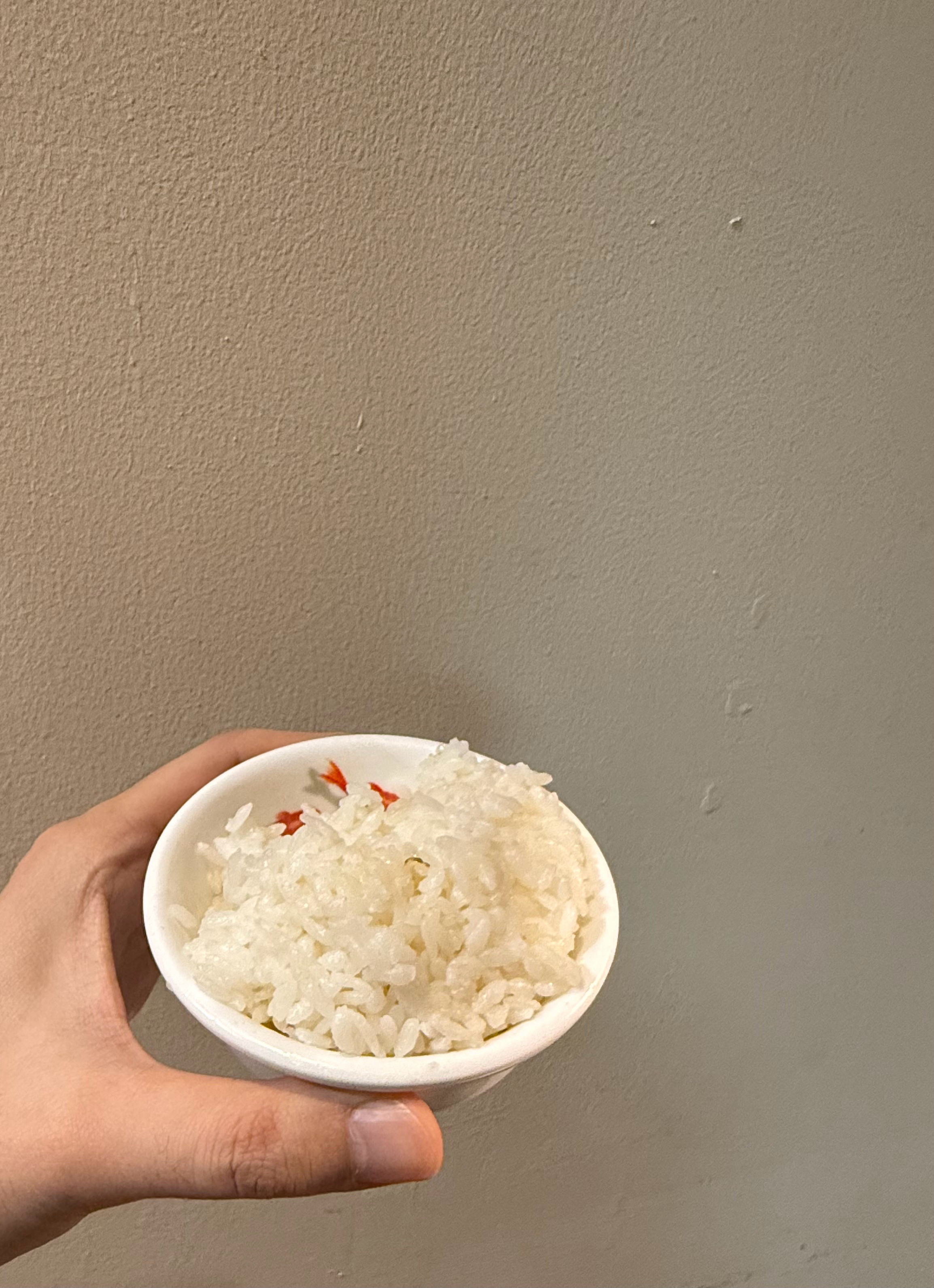 冒着气儿的🍚