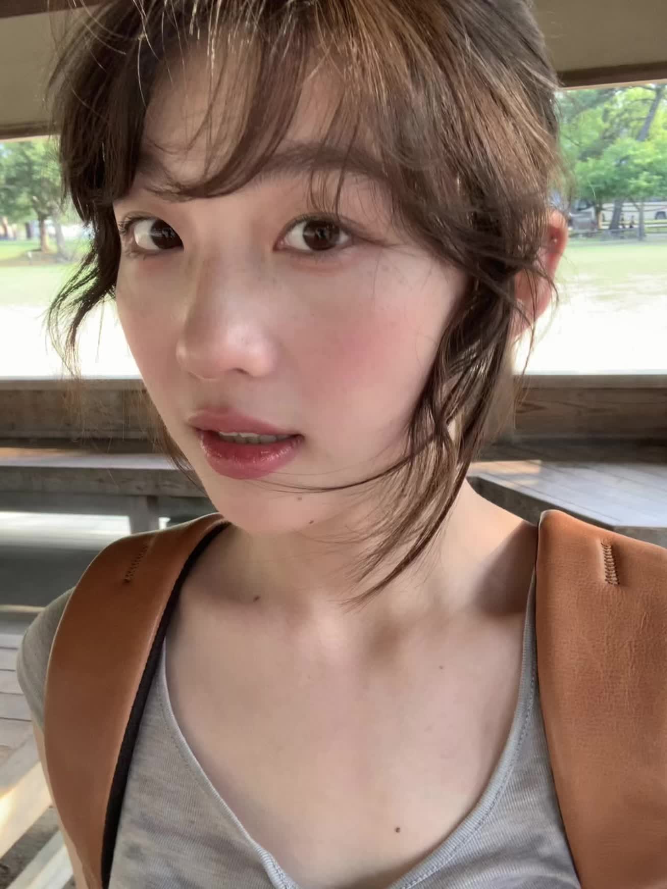 奈良的鹿真的会鞠躬