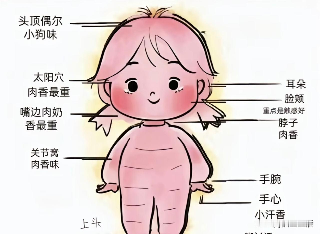 太搞笑了吧！今天在小区跟两位宝妈聊天一位男宝，一位女宝，年龄差不多大突然聊到