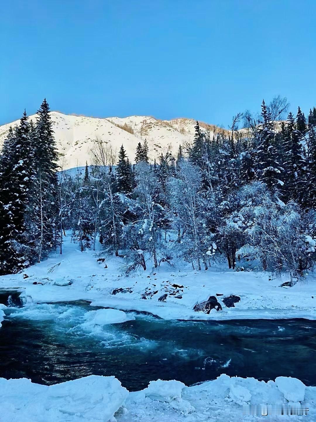冬天的喀纳斯，才是真的封神了。雪落满整个山谷，雾凇挂满枝头，湖
