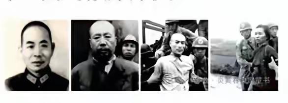 台湾去年公开了一批旧档案，澄清了陈宝仓身份。很多人说他是“东海小组”成员，但文件