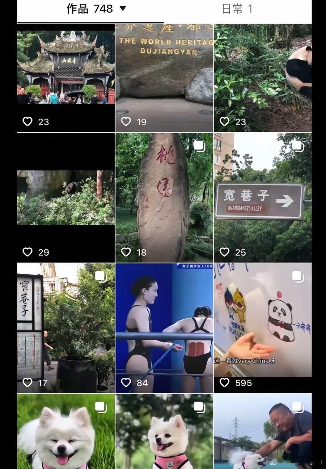 张家齐妈妈抖音号被扒，满屏带狗旅游住千元酒店，女儿视频却屈指可数，500条藏不住
