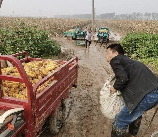 国庆假期第三天，回老家了。给公婆买了一板草鸡蛋，一大瓶小磨香油，两桶色拉油。