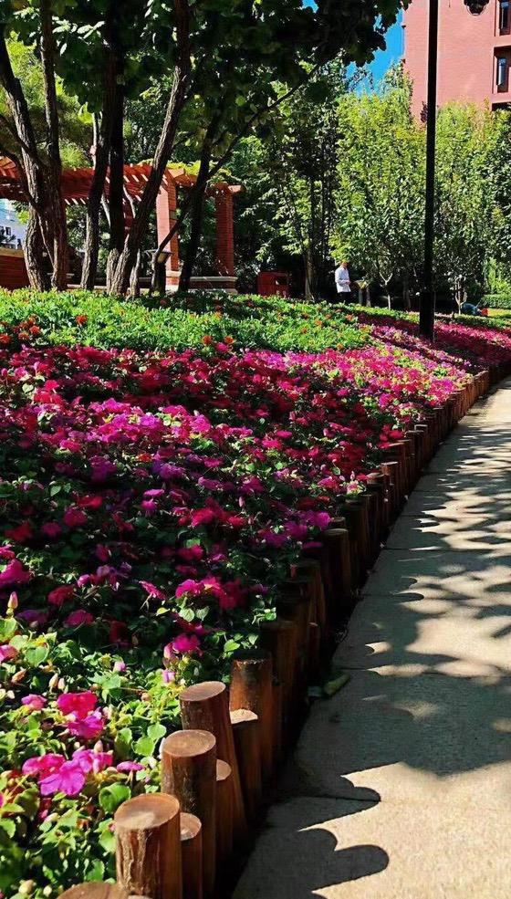 连日来，北京二手房住宅网签持续超过800套+，这个小阳春不简单！从3月9日开