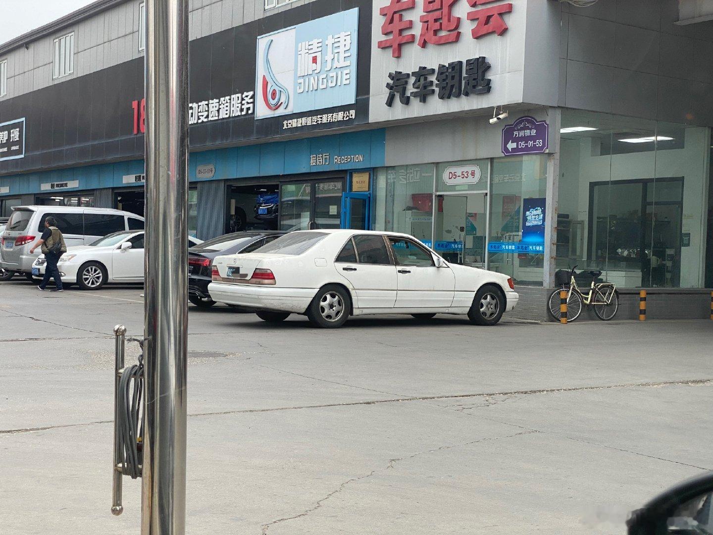 同事在五方遇到的虎头奔白色太尊了！