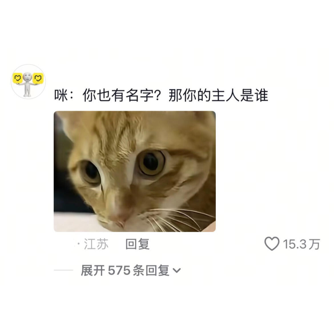 当我家猫不知道我有名字​​​
