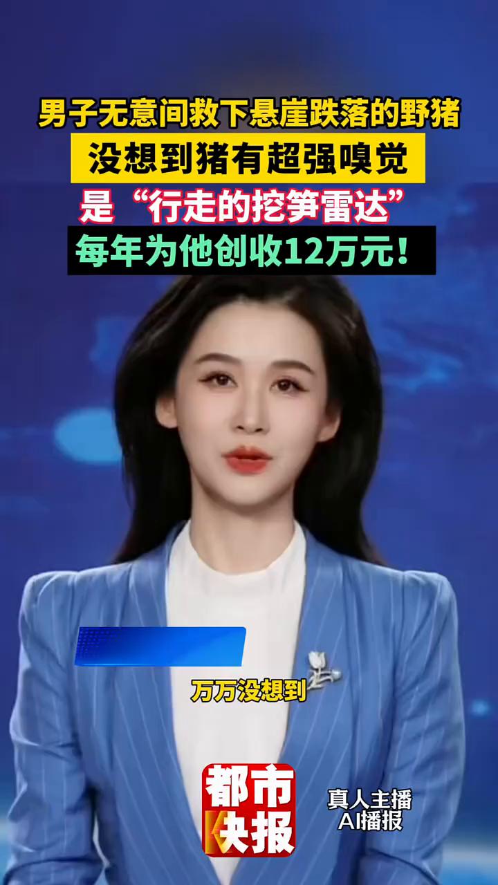 男子无意间救下悬崖跌落的野猪，没想到猪有超强嗅觉，是"行走的挖笋雷达"，每年为他