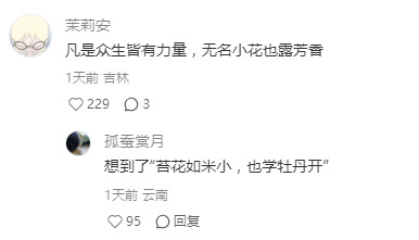 写作中创造的神句!