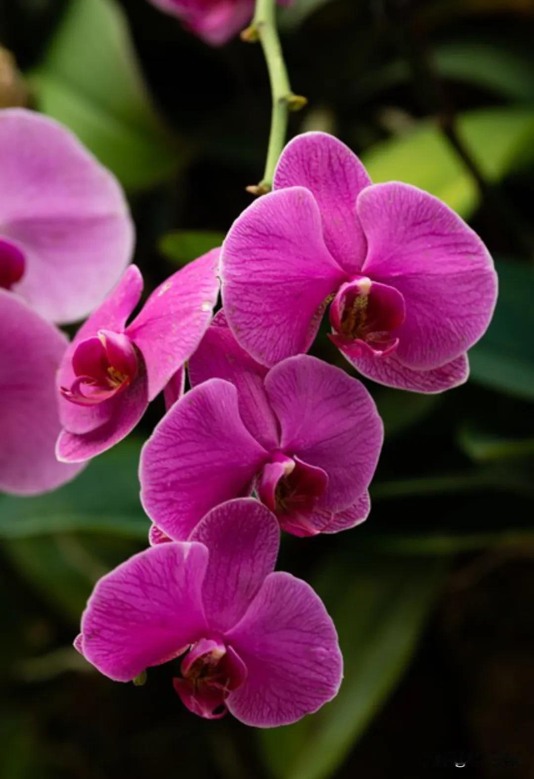 稻盛和夫说：“情商就是：永远不要说任何人的坏话，你的每一句坏话，将来都会变成你自