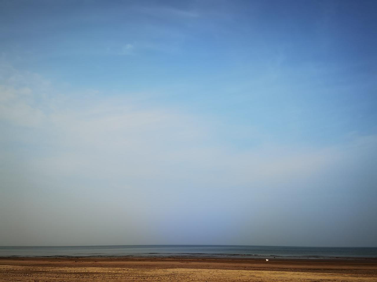 非常牛的特质（逆风翻盘、打不死的小强）——天蝎座！天蝎座她们的逆商非常厉害，她们