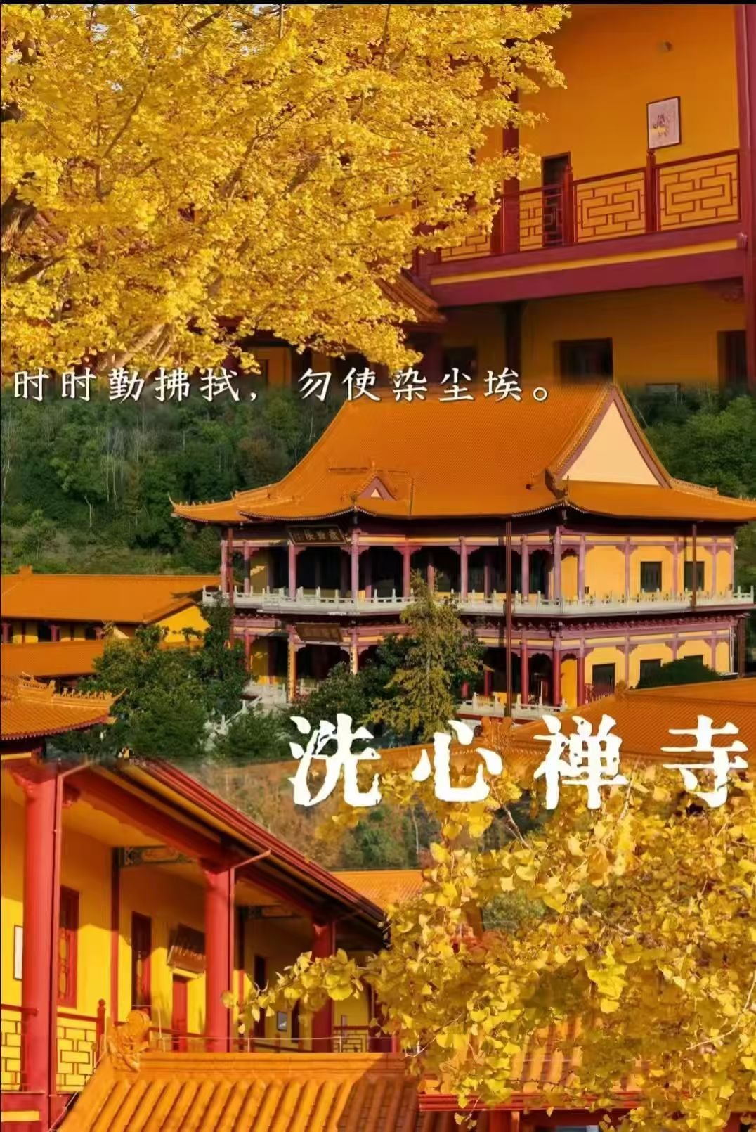 🍁长沙秋日禅意游玩,洗心禅寺攻略🍁